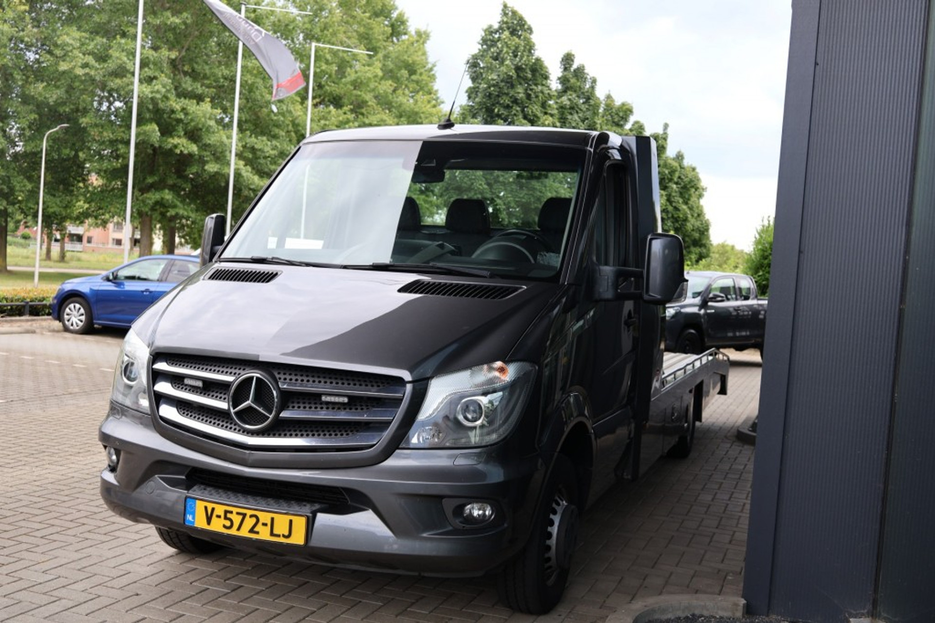 46339619-3.jpg